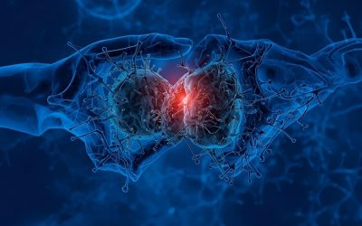 Systems – DERMATOLOGY